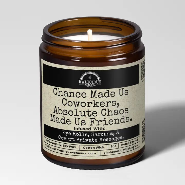Chance Made Us Co-workers, Absolute Chaos Made Us Friends