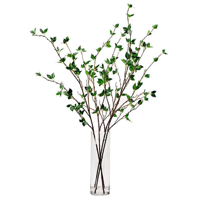 Cherry Leaf Stems in Glass Vase