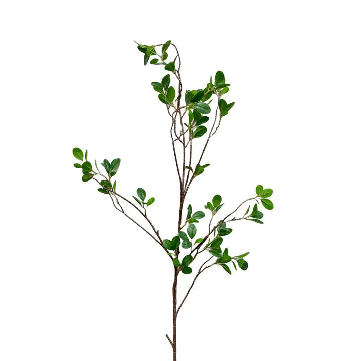 42" Real Touch Agalia Odorata