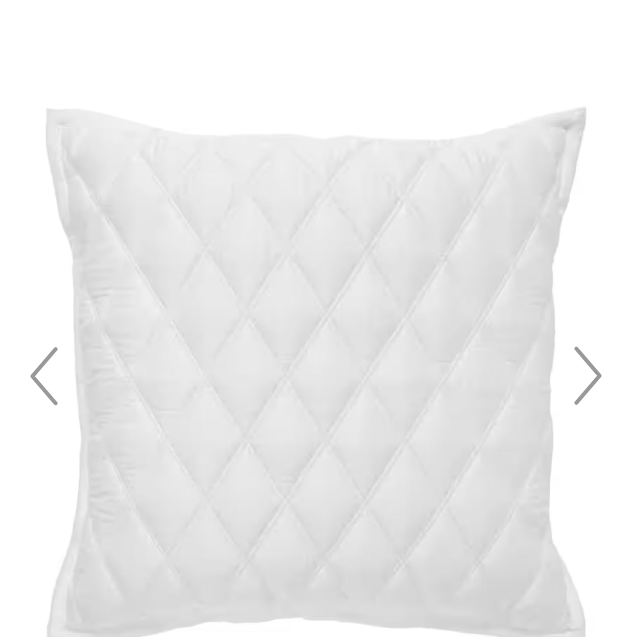 Lyocell Quilted Euro Pillow