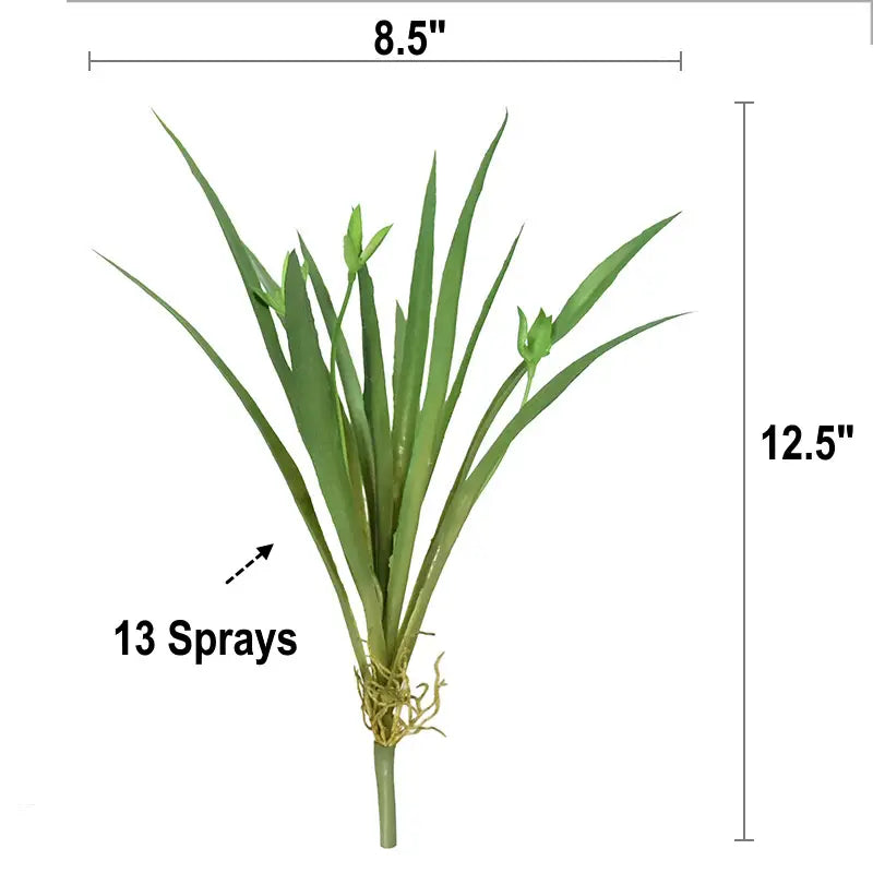 12.5" Spider Orchid Plant w/ Bud