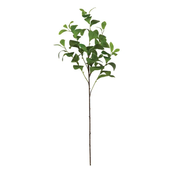 36" Paddle Leaf Spray