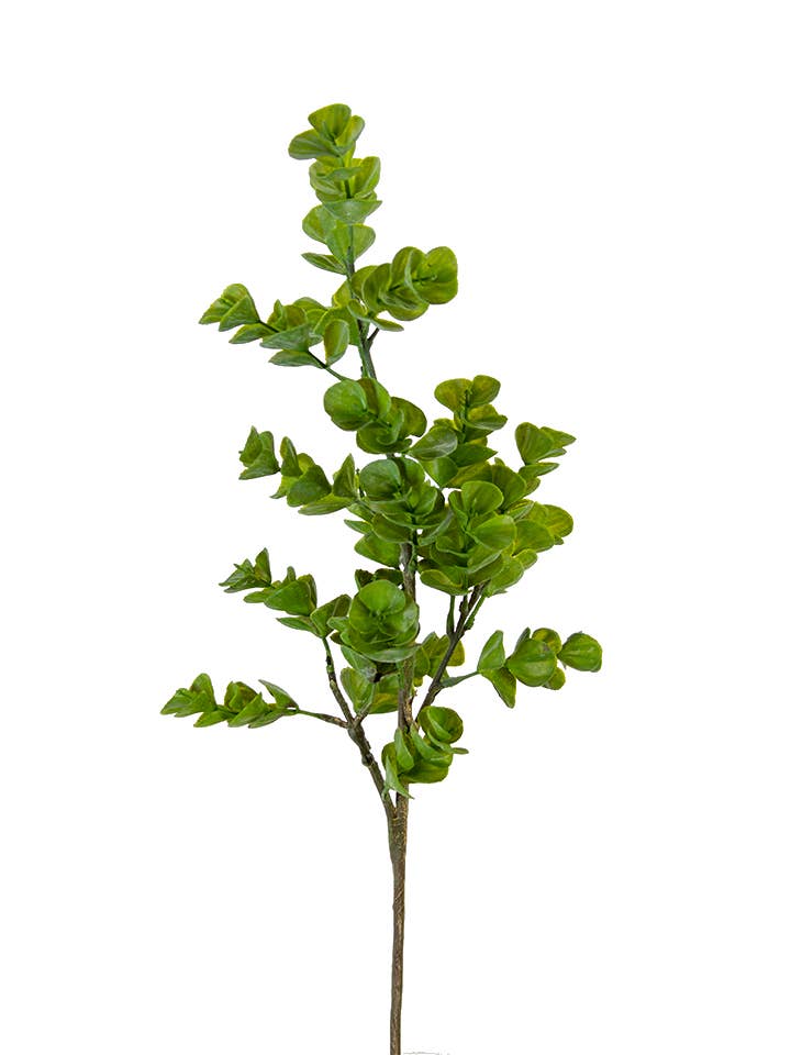 24" Eucalyptus Spray
