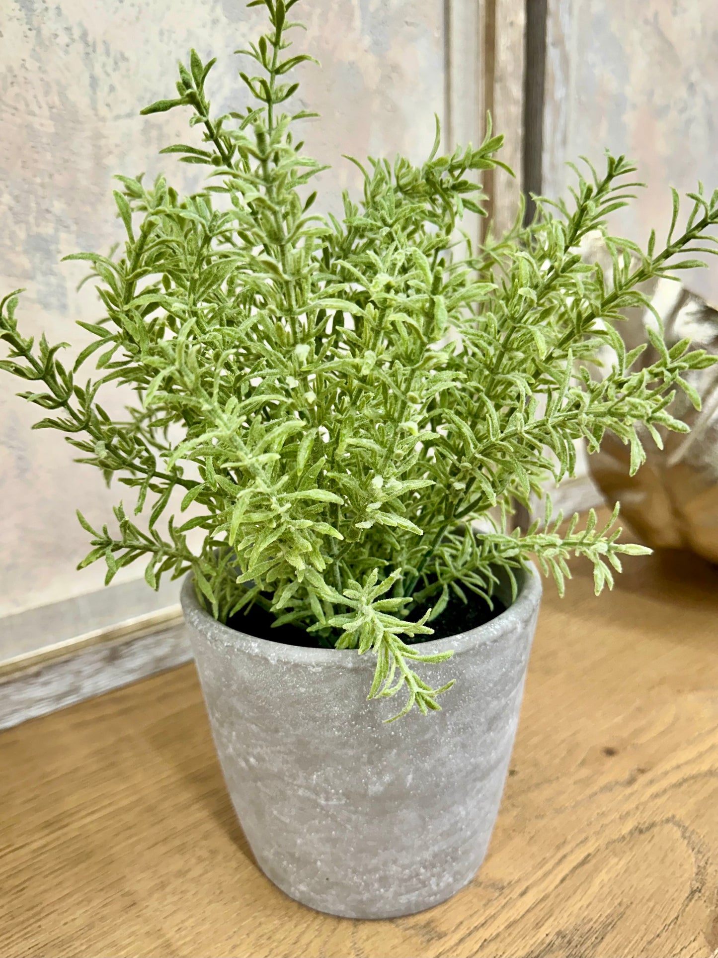 Herbs in Grey Ceramic Pot