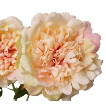 Real Touch Peony stem Peach