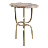 20" Petrified Wood Accent Table