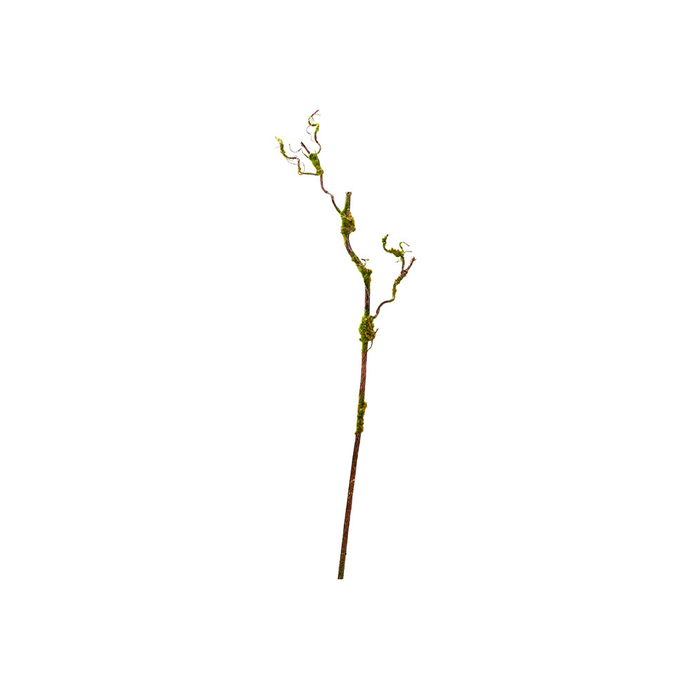Moss Twig Spray 41"