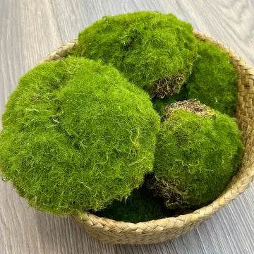 Large Artificial Moss Balls / Pack of 6