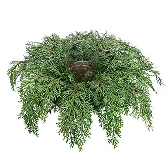 Cypress Candle Holder