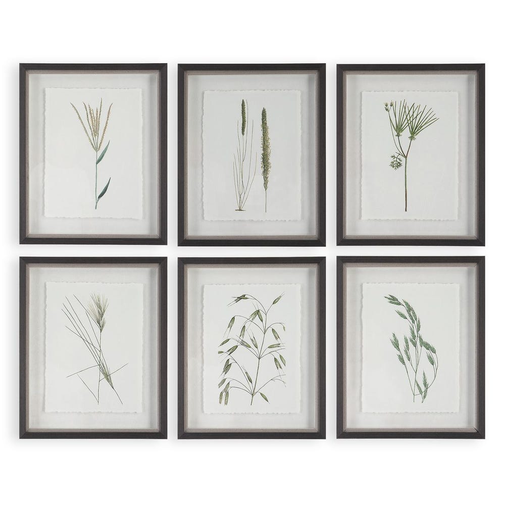 Forest Framed Prints S/6