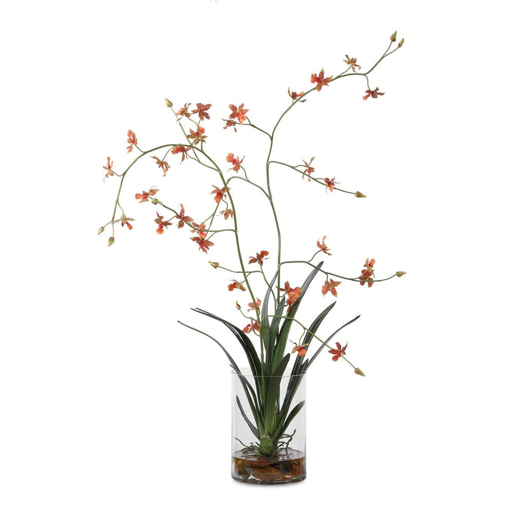 Orange Orchid Arrangement