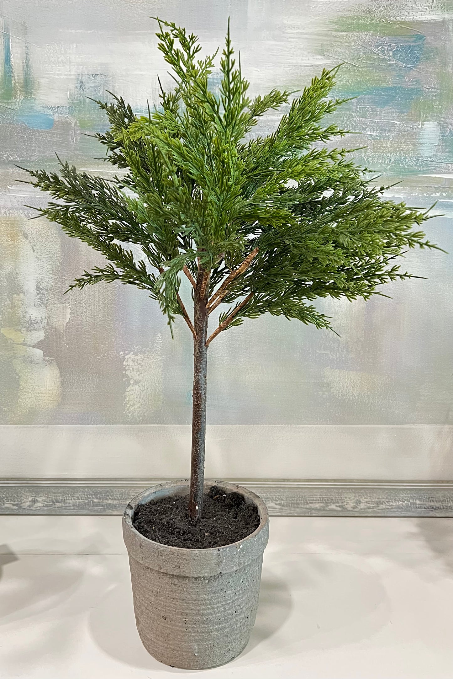 27.5" Cypress Topiary Tree