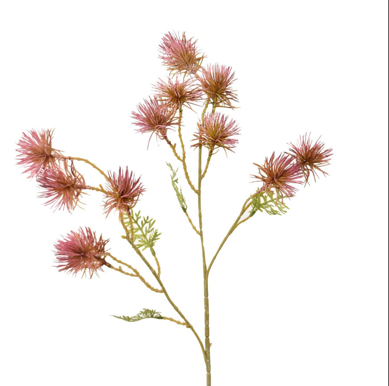 27" Plum Thistle Stem