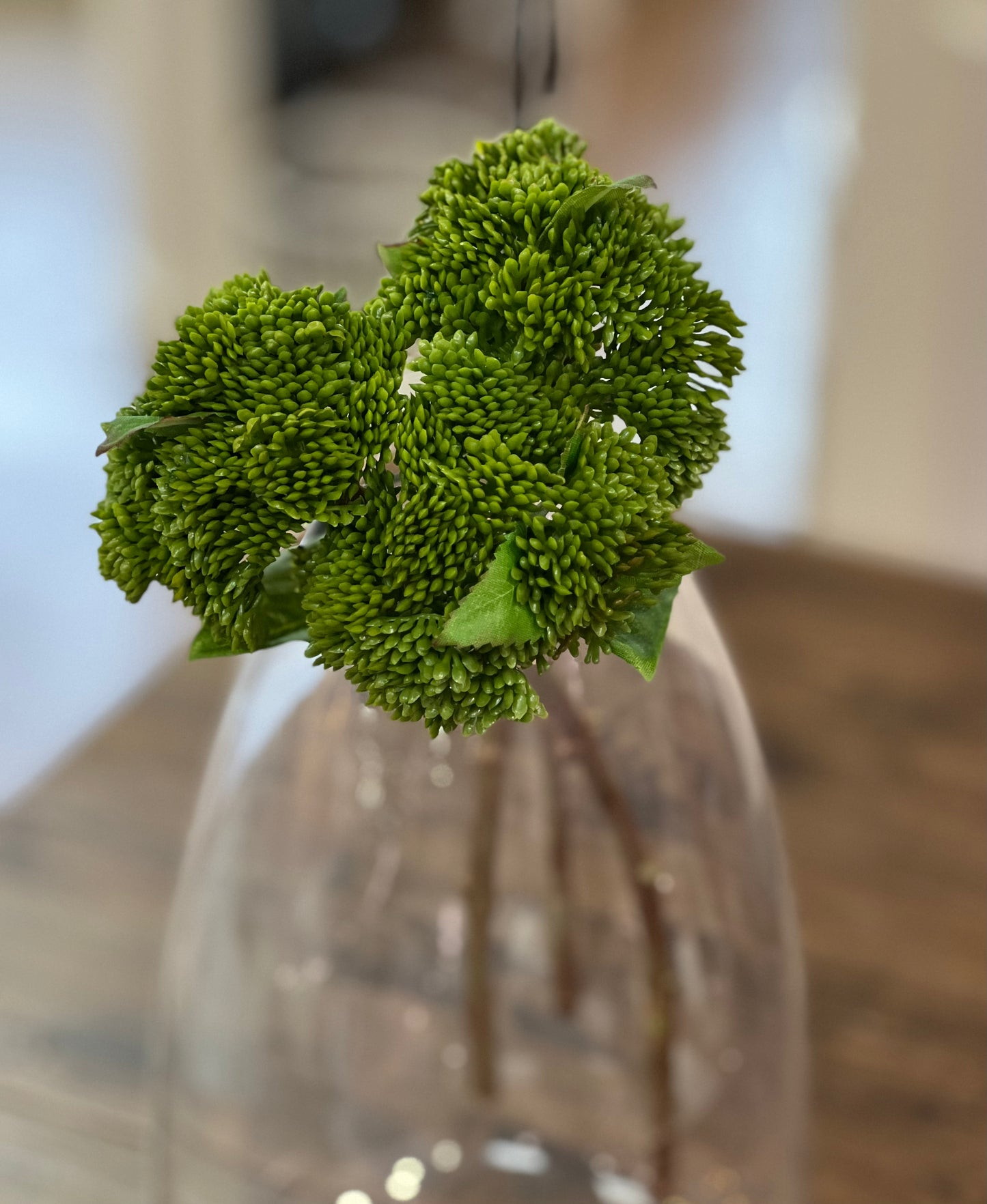 Real Touch Succulent