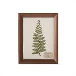 9.25 Inch Dried Botanical Framed Art