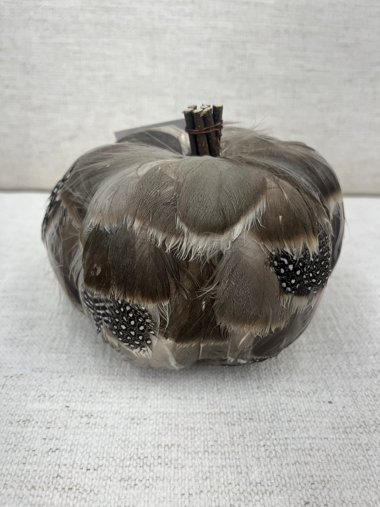 Gray Feather Pumpkin