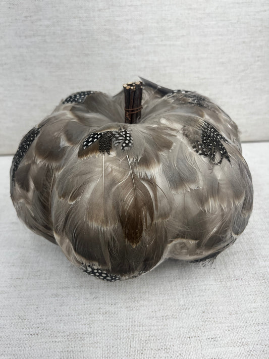 Gray Feather Pumpkin