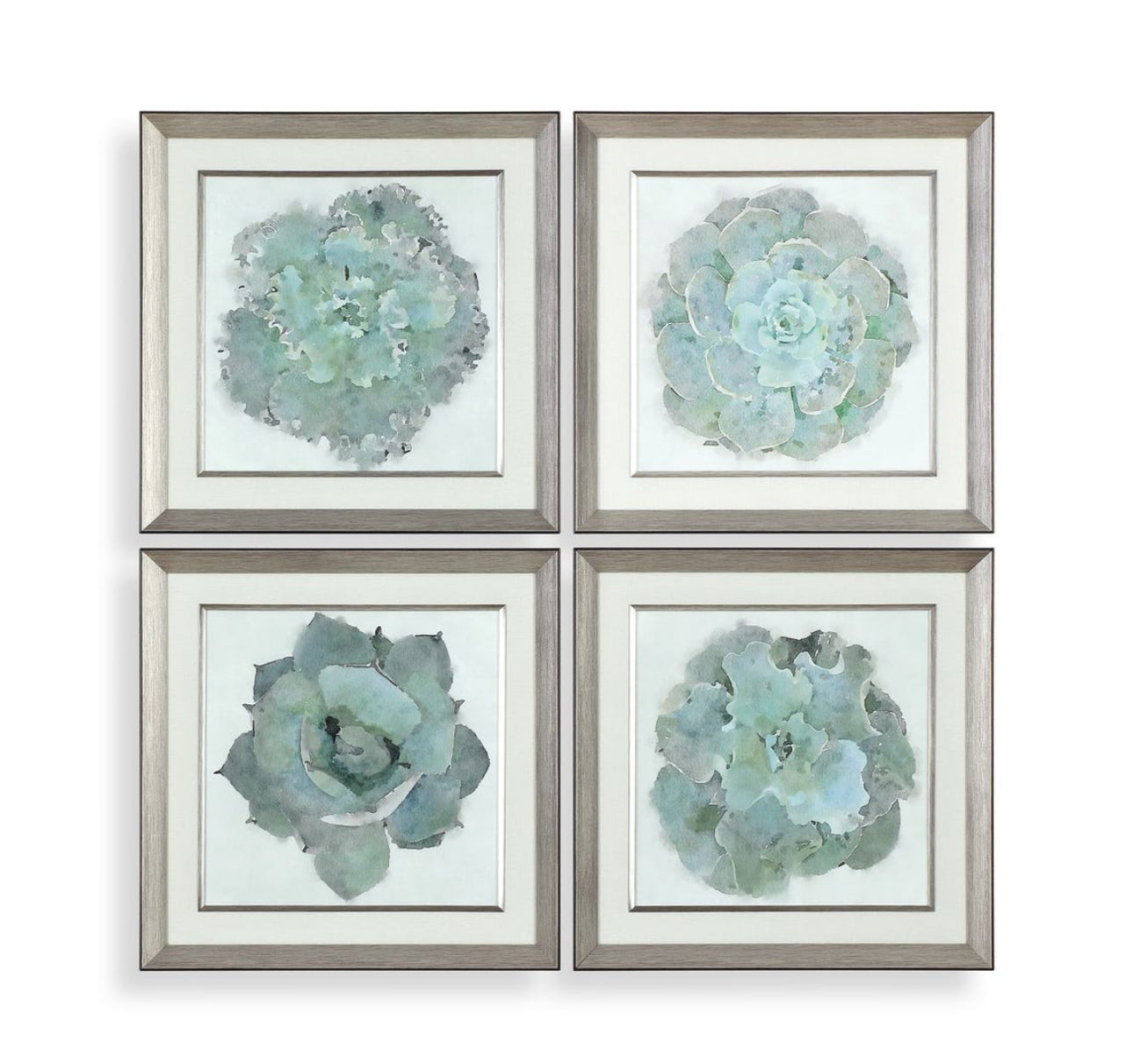 Succulent Art S/4 22"x22"