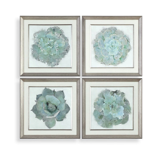 Succulent Art S/4 22"x22"