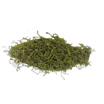 Moss Bark