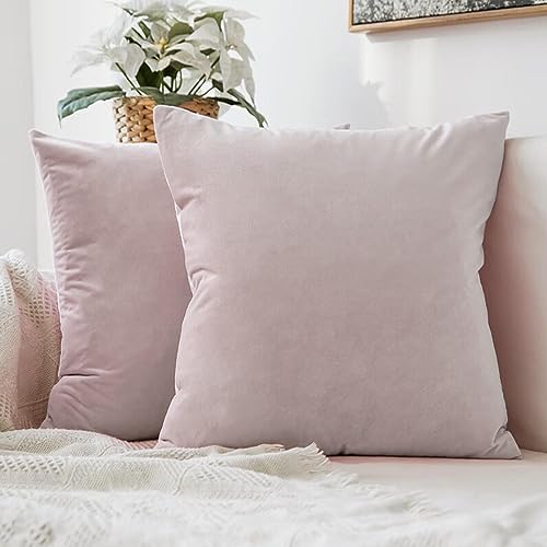 Light Pink Velvet Pillow 24"