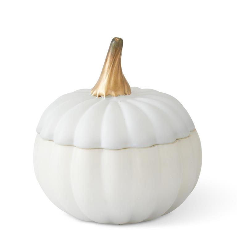 Assorted 4.75 Inch White Glass Filled Pumpkin Candle