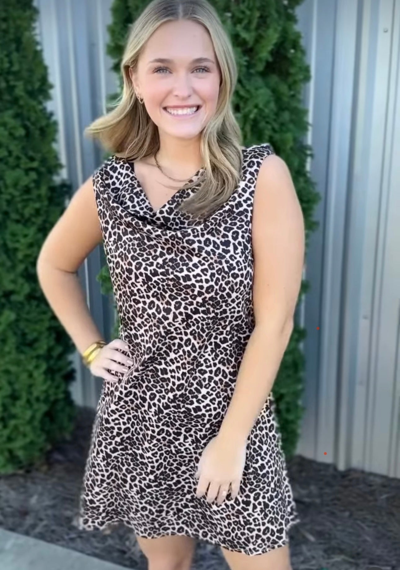 Leopard Print Cowl Neck Dress