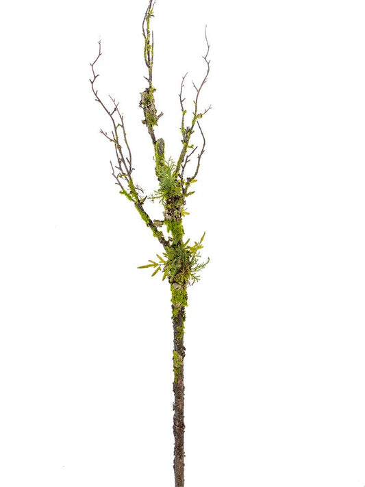 54" Moss Twig Branch