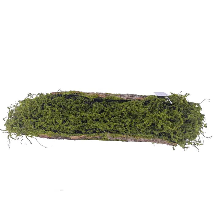 Moss Bark