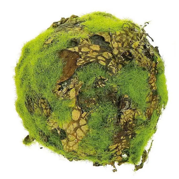 5" Lichen Moss Orb