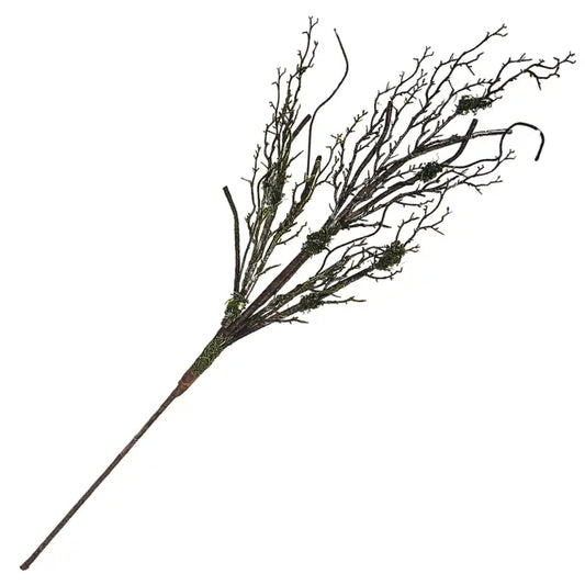 Wooded Moss Branch