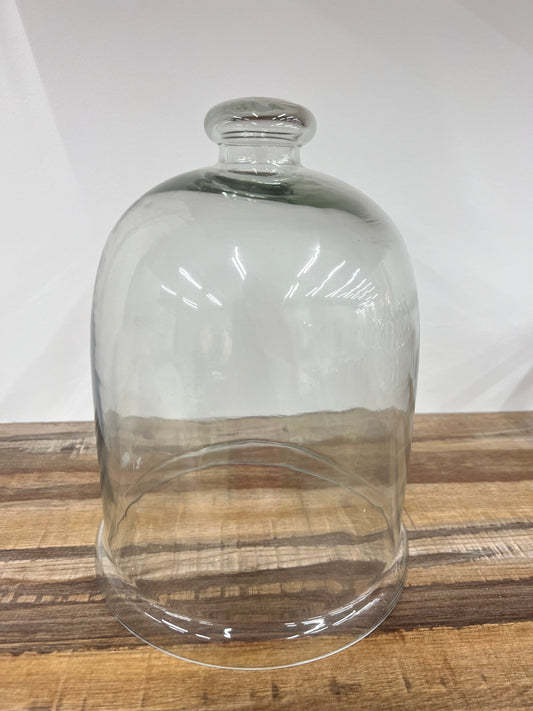 Glass Cloche 9.5"