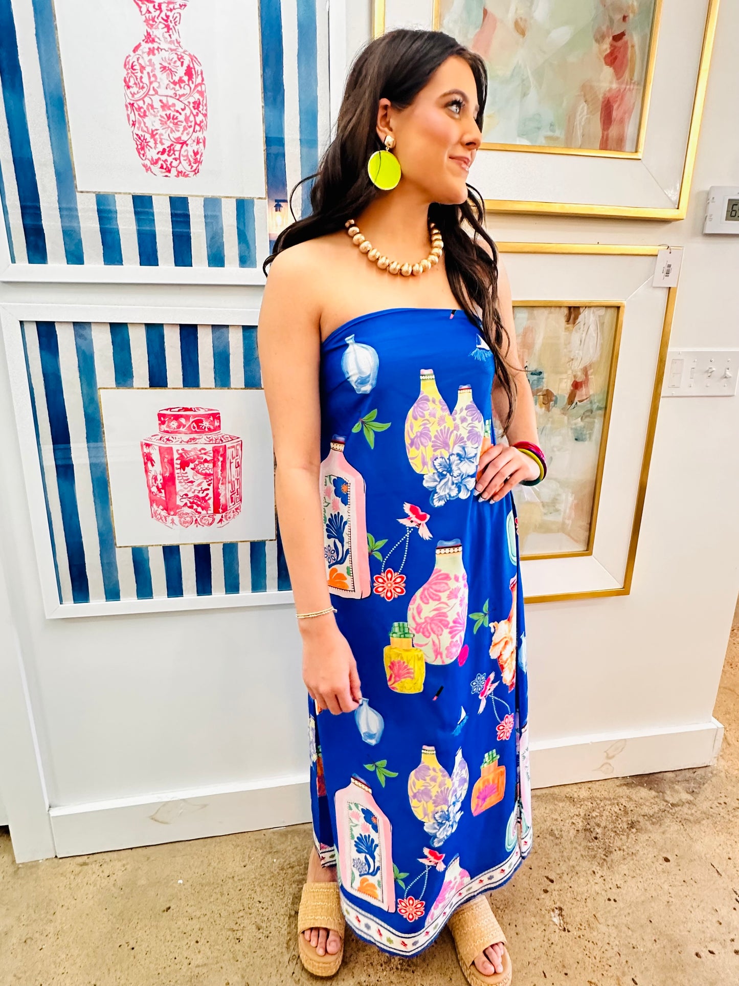 Blue Bottle Pattern Dress