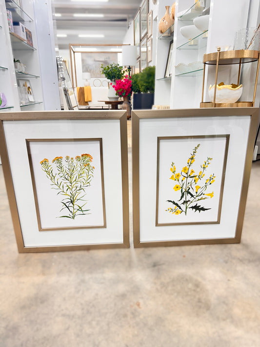 Yellow Botanical Art 17.5"x21.5"