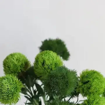 21.5" Dianthus faux Green ball