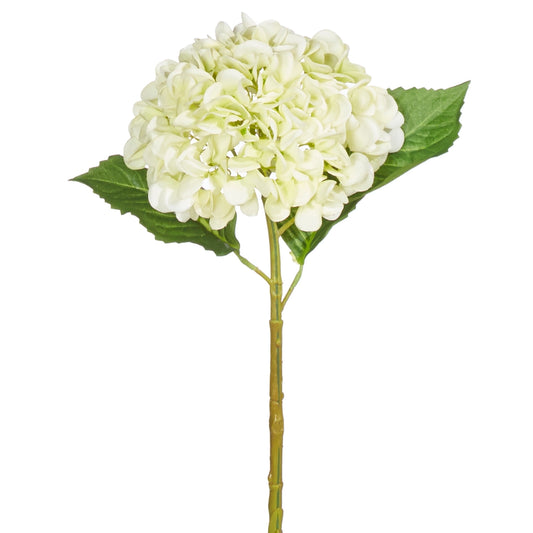 20.5" Light Green Real Touch Hydrangea