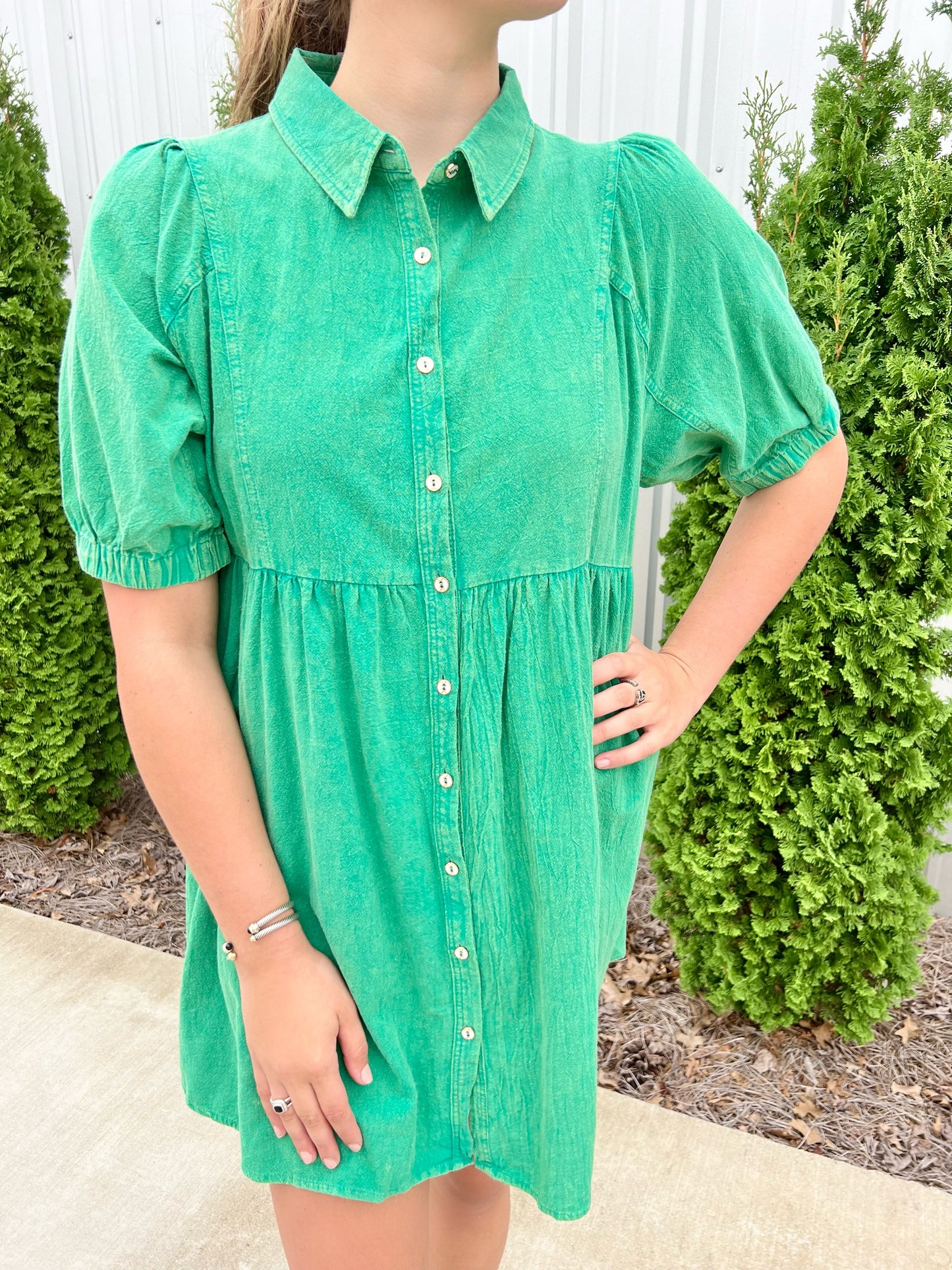 Green Collared Button Down Plus Dress