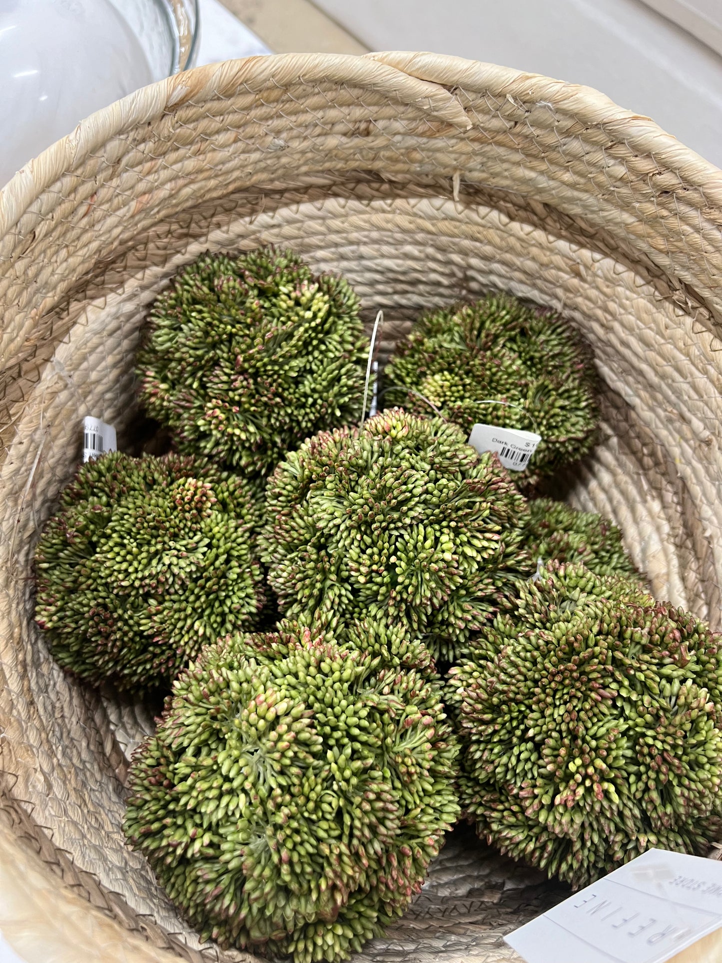 Dark Green Sedum ball 4"