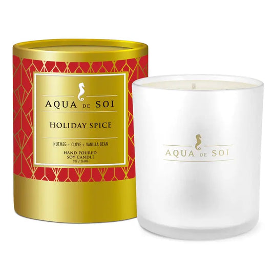 Holiday Spice 9oz Luxe Box Candle