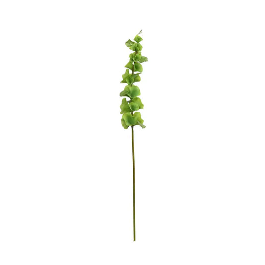 29" Bells of Ireland Stem