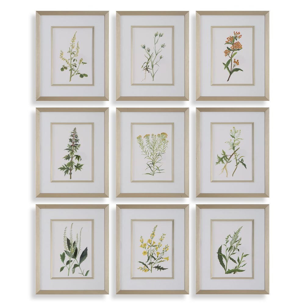 Framed Botanical Prints S/9 17"x21"