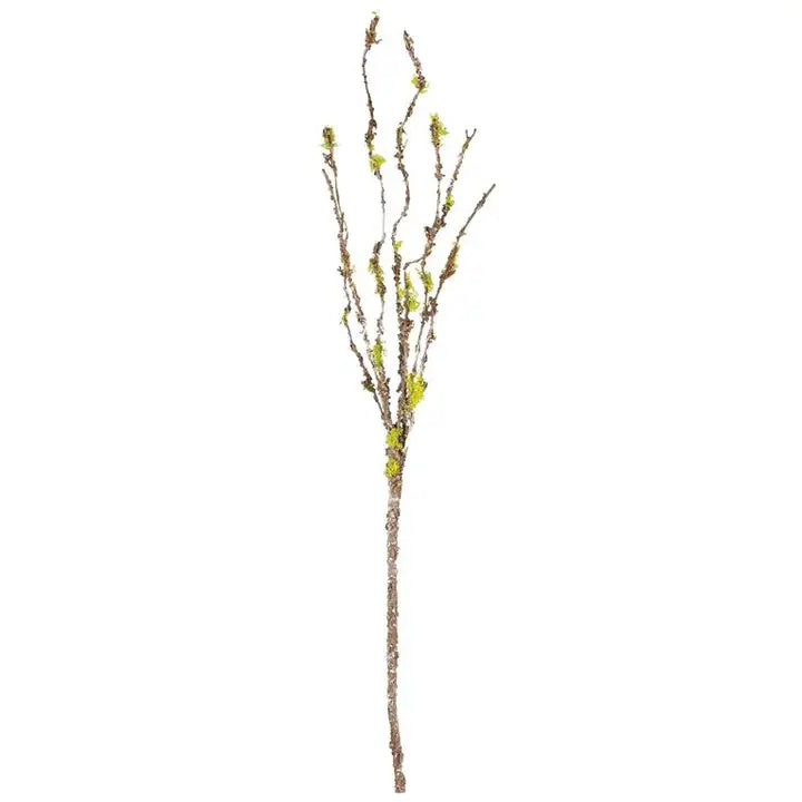 46" Brown Twig Branch