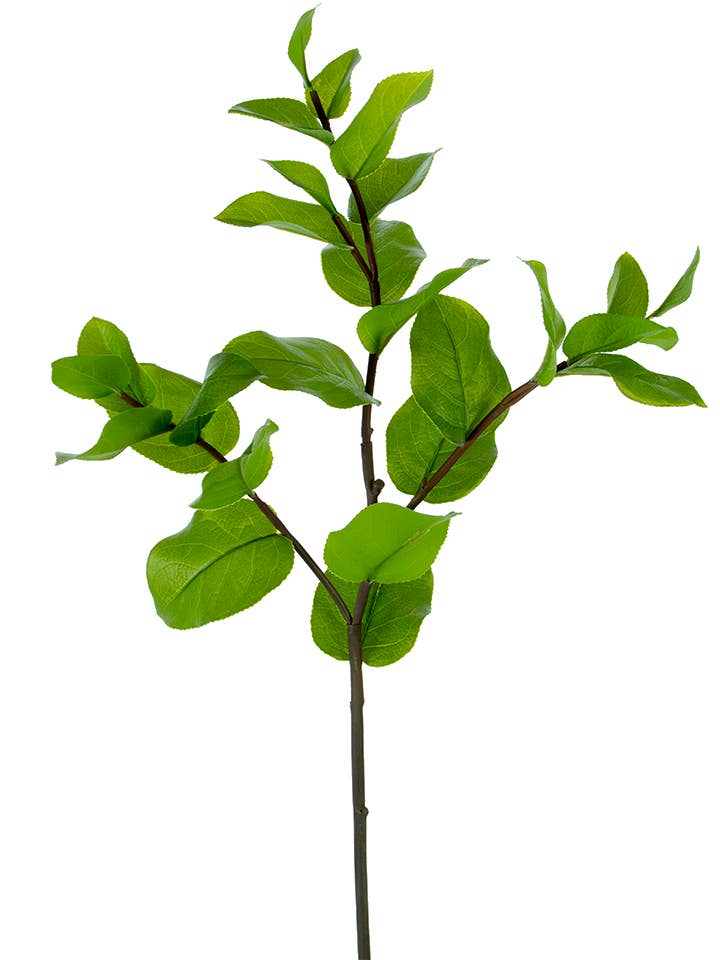 32" Lemon Leaf Spray