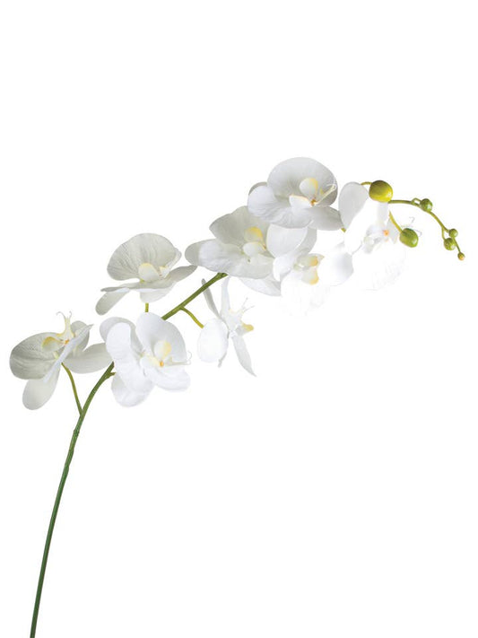 60" Real Touch White Orchid