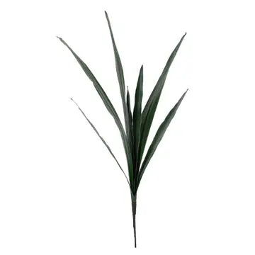 20" Cymbidium Orchid Leaves