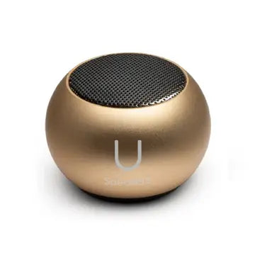 Mini Gold Speaker