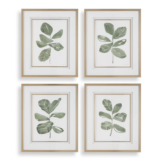 Fig Leaf Frames S/4