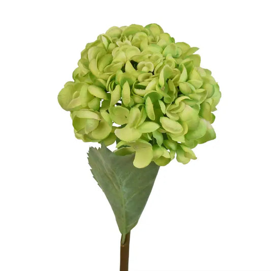 20"Green Hydrangea Stem