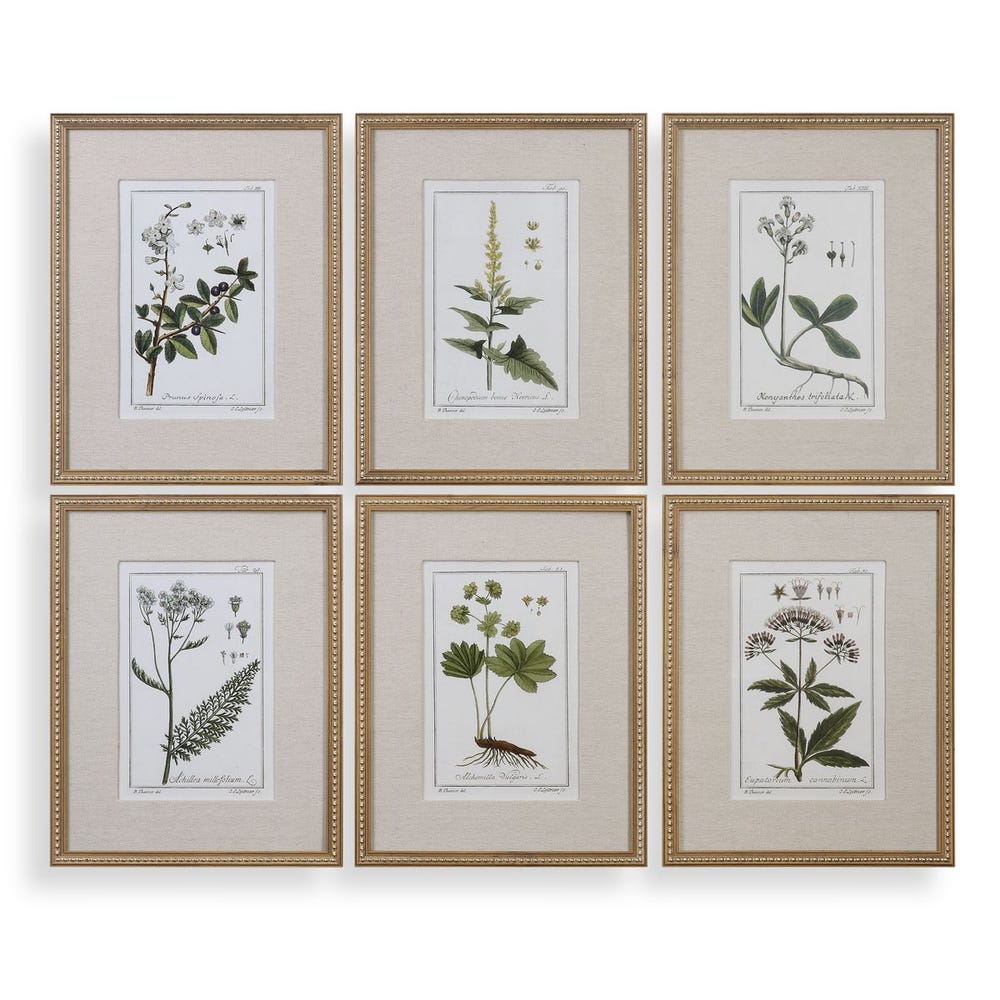 Green Botanical Prints w/ Gold Frame S/6