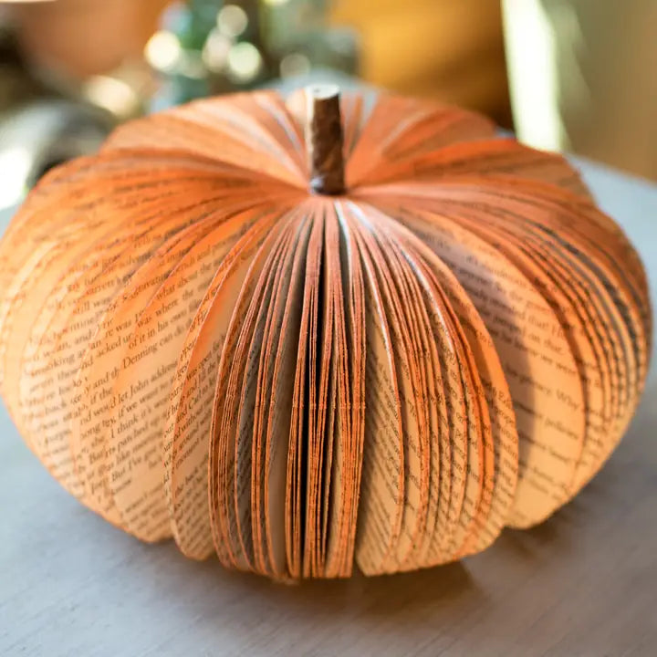 Book Pumpkin